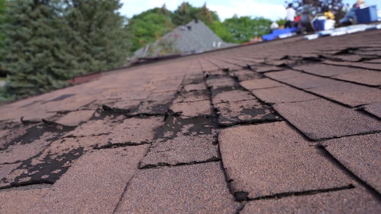 Harvey, ND Roofing Services Company